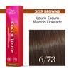 COLOR TOUCH DEEP BROWNS 6/73 60 ML