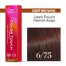 COLOR TOUCH DEEP BROWNS 6/75 60 ML