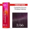 COLOR TOUCH VIBRANT REDS 3/66 60 ML