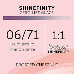 SHINEFINITY ZERO LIFT GLAZE - COOL FROSTED CHESTNUT 06/71, 60ML