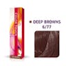COLOR TOUCH DEEP BROWNS 6/77